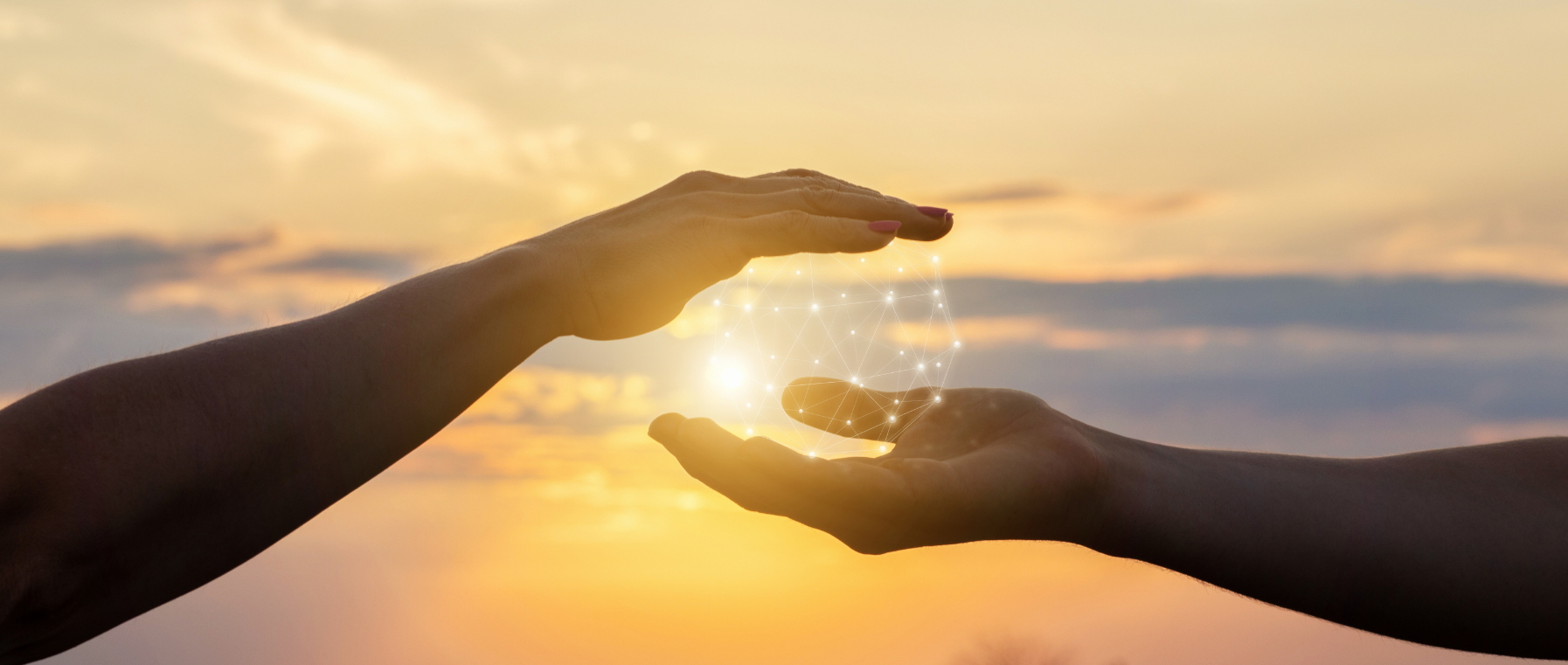 eft anna krupa kontakt