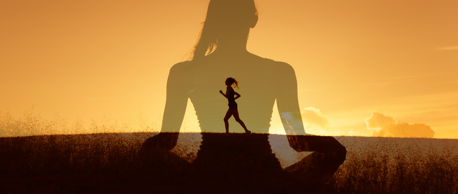 psychobiologia anna krupa kontakt