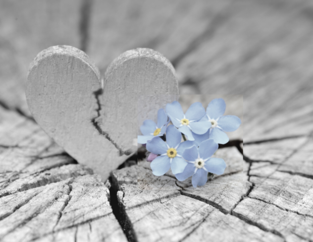 anna krupa blog cierpienie